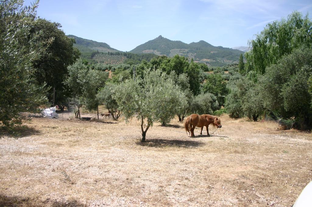 Casas Rurales La Loma Del Carrascal Орнос Екстериор снимка